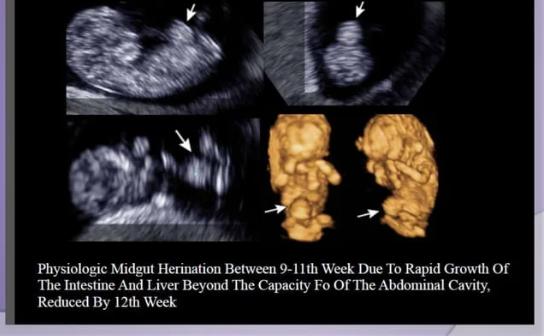 Dr Boopathy Vijayaraghavan and Dr Balagopal
