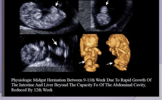 Dr Boopathy Vijayaraghavan