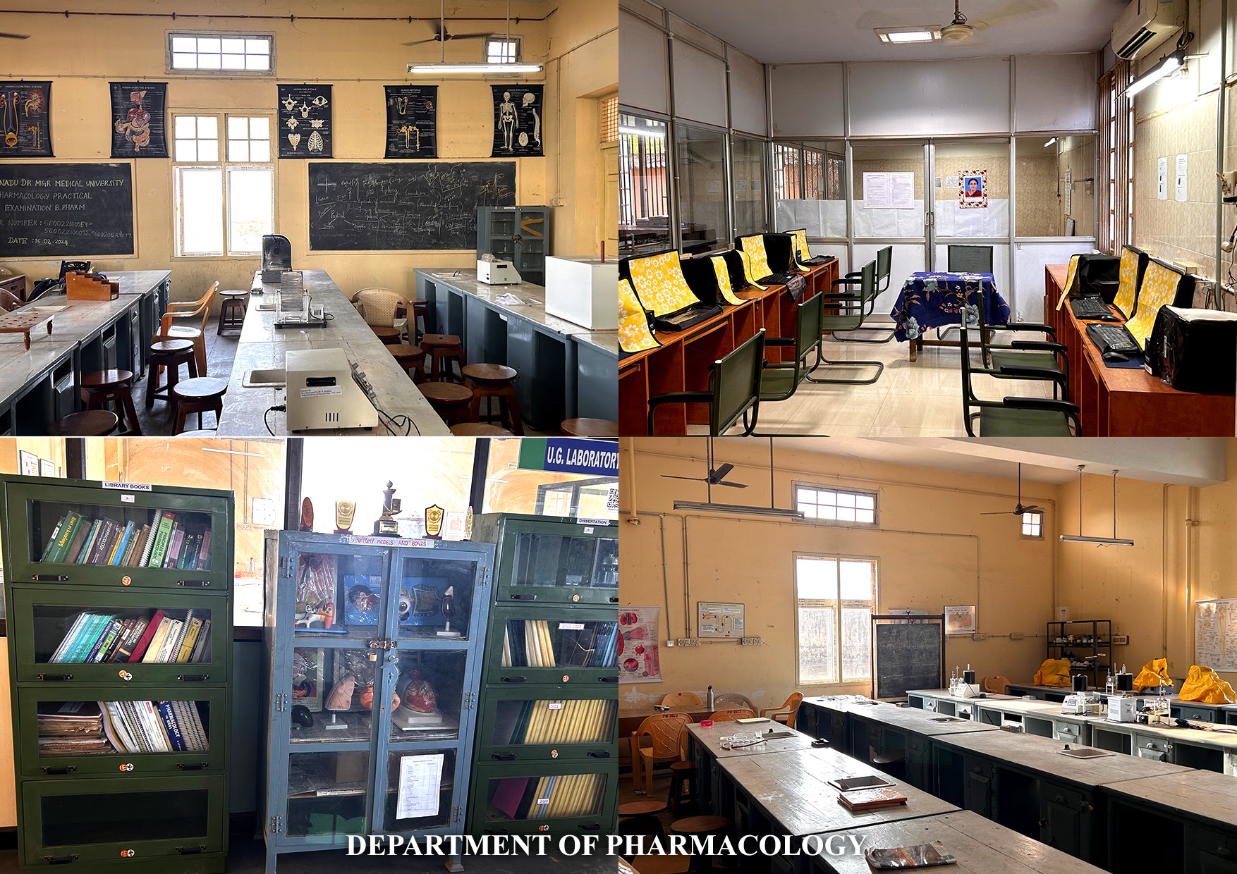 College of Pharmacy