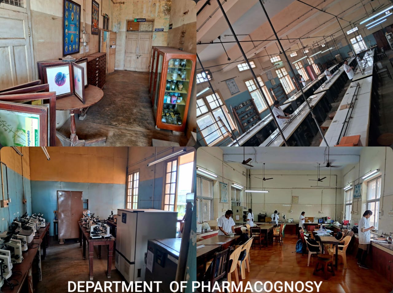 College of Pharmacy